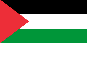 Palestine flag